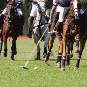 Chukkers